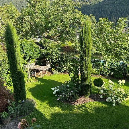 York Cottage Garden Трабен-Трарбах Екстер'єр фото